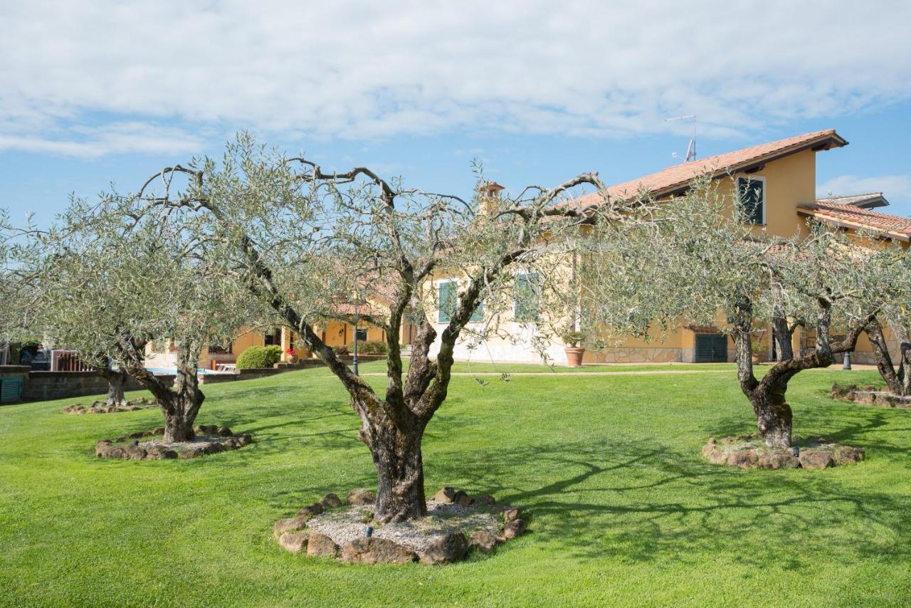 Appartamento Recidence L' Infinito Carbognano Esterno foto